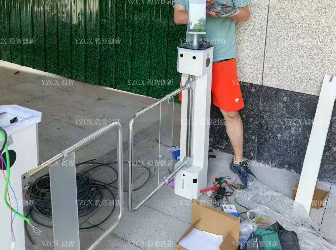 立式摆闸